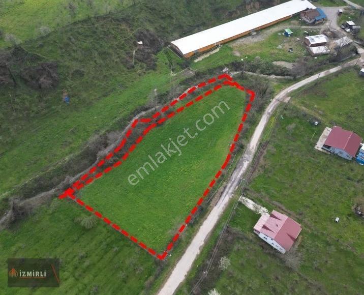 Sakarya Karapürçek Mesudiye Anayola Cepheli Satılık Kavaklık