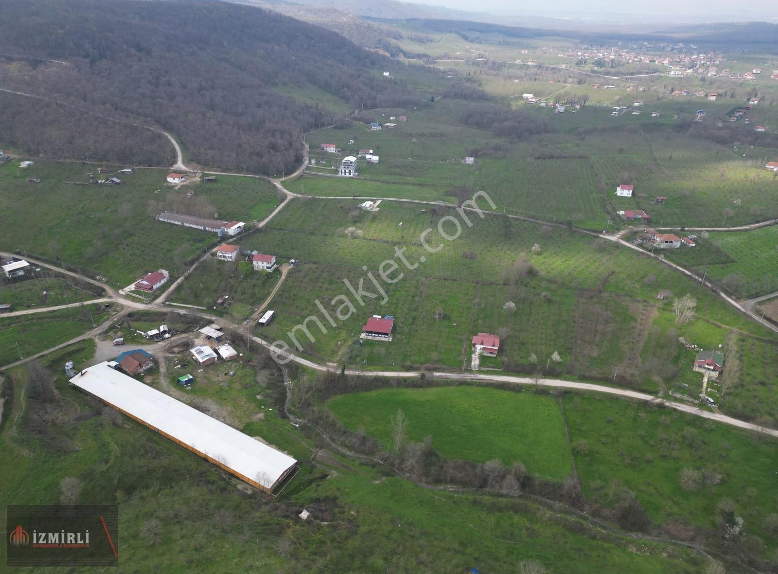Sakarya Karapürçek Mesudiye Anayola Cepheli Satılık Kavaklık - Görsel 3