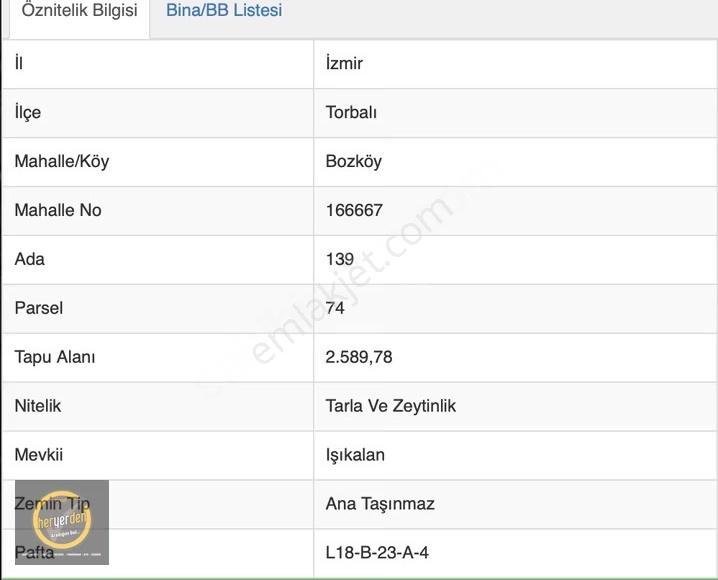 Bozköy'de Manzaralı, Tek Tapulu 2.590 M² Satılık Zeytinlik - Görsel 11