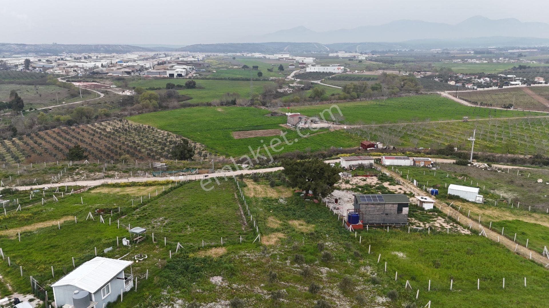 İzmir Menderes Kısık-oğlananasında Hisse Tapulu 400 M2 Arsa - Görsel 10