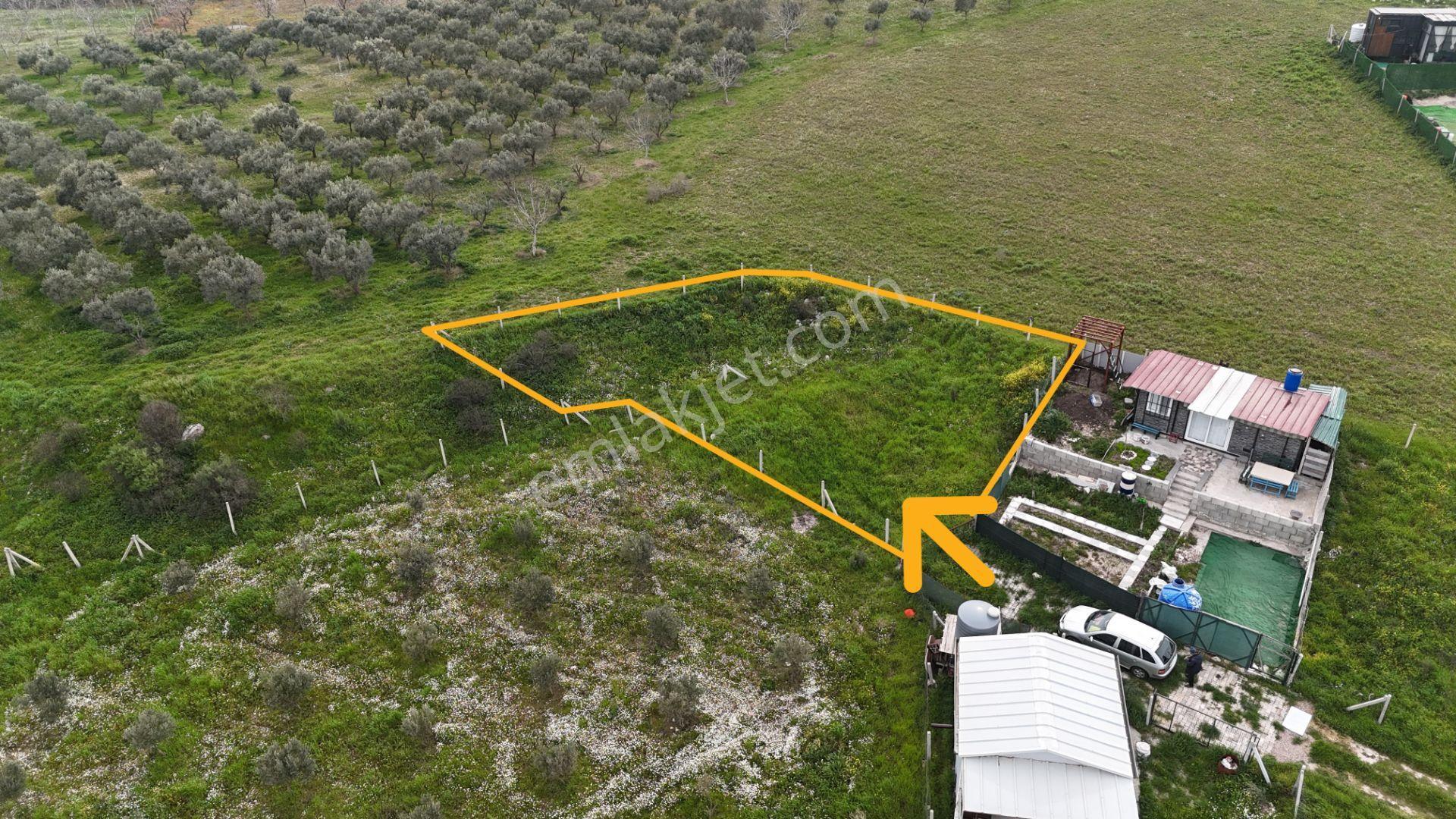 İzmir Menderes Kısık-oğlananasında Hisse Tapulu 400 M2 Arsa