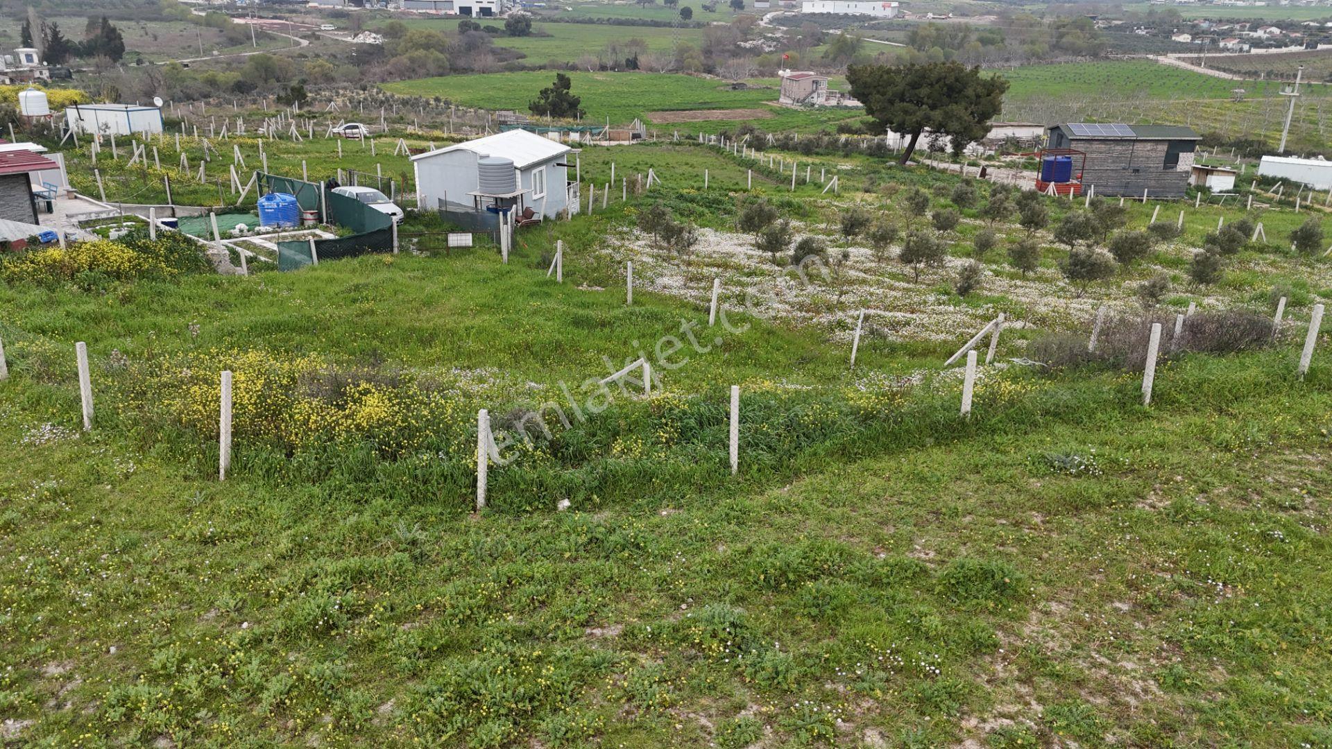 İzmir Menderes Kısık-oğlananasında Hisse Tapulu 400 M2 Arsa - Görsel 13