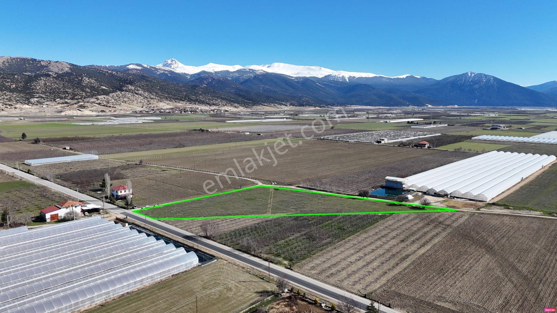 Antalya Elmalı Bayralar Mahallesi’nde Satılık Tarla