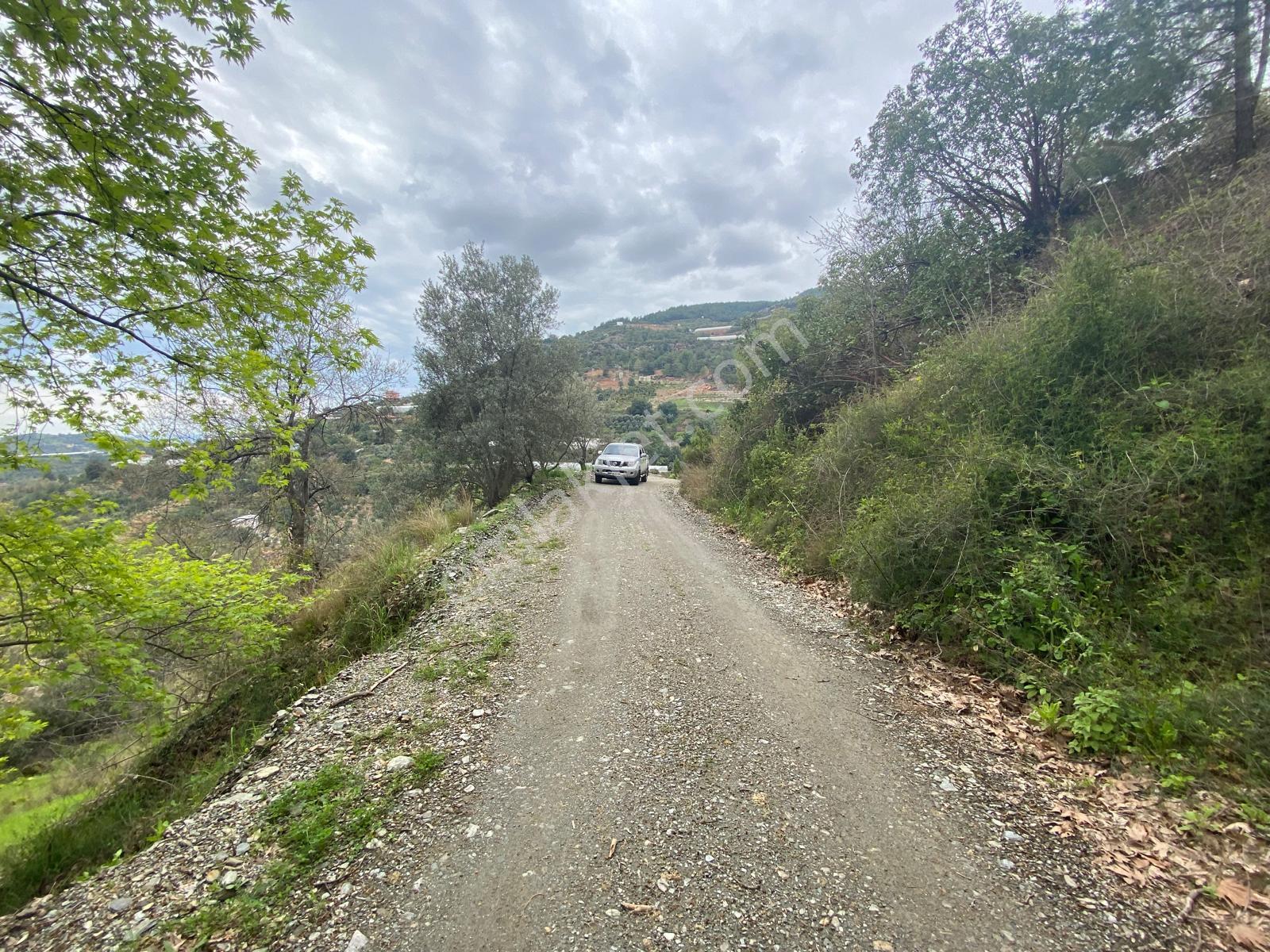 Alanya Hacı Kerimlerde 'de Satılık 3.000 M2 Tarla - Görsel 9