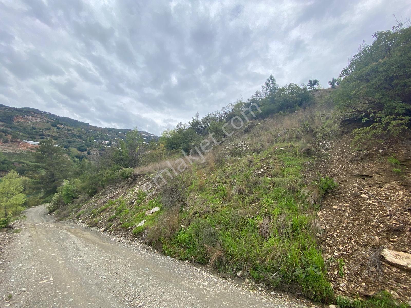 Alanya Hacı Kerimlerde 'de Satılık 3.000 M2 Tarla - Görsel 11