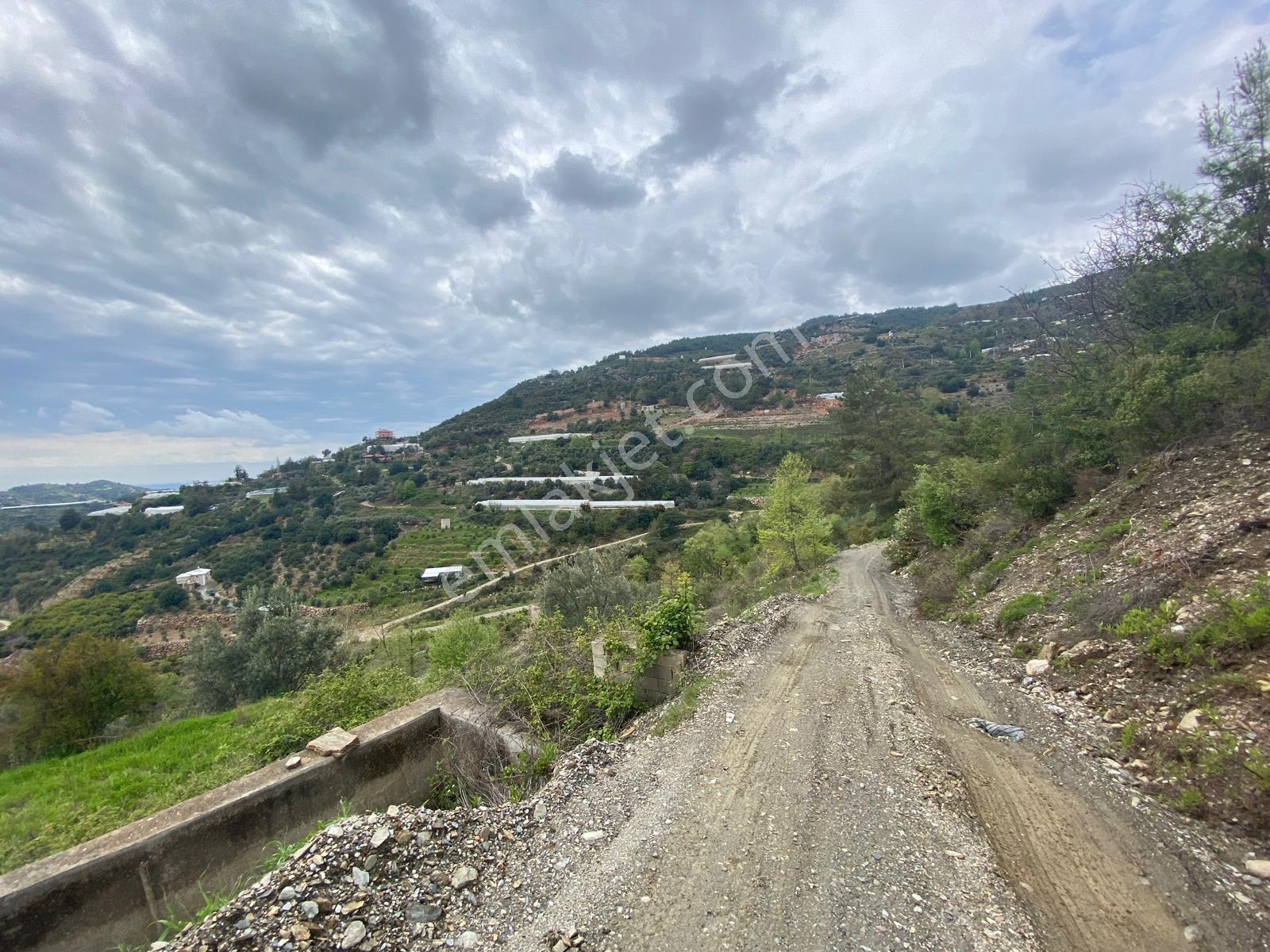 Alanya Hacı Kerimlerde 'de Satılık 3.000 M2 Tarla - Görsel 6