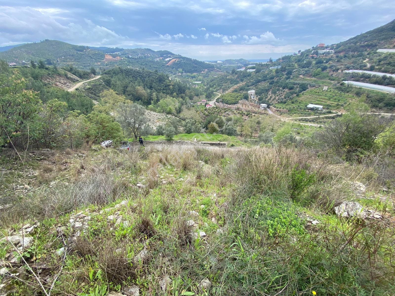 Alanya Hacı Kerimlerde 'de Satılık 3.000 M2 Tarla - Görsel 2