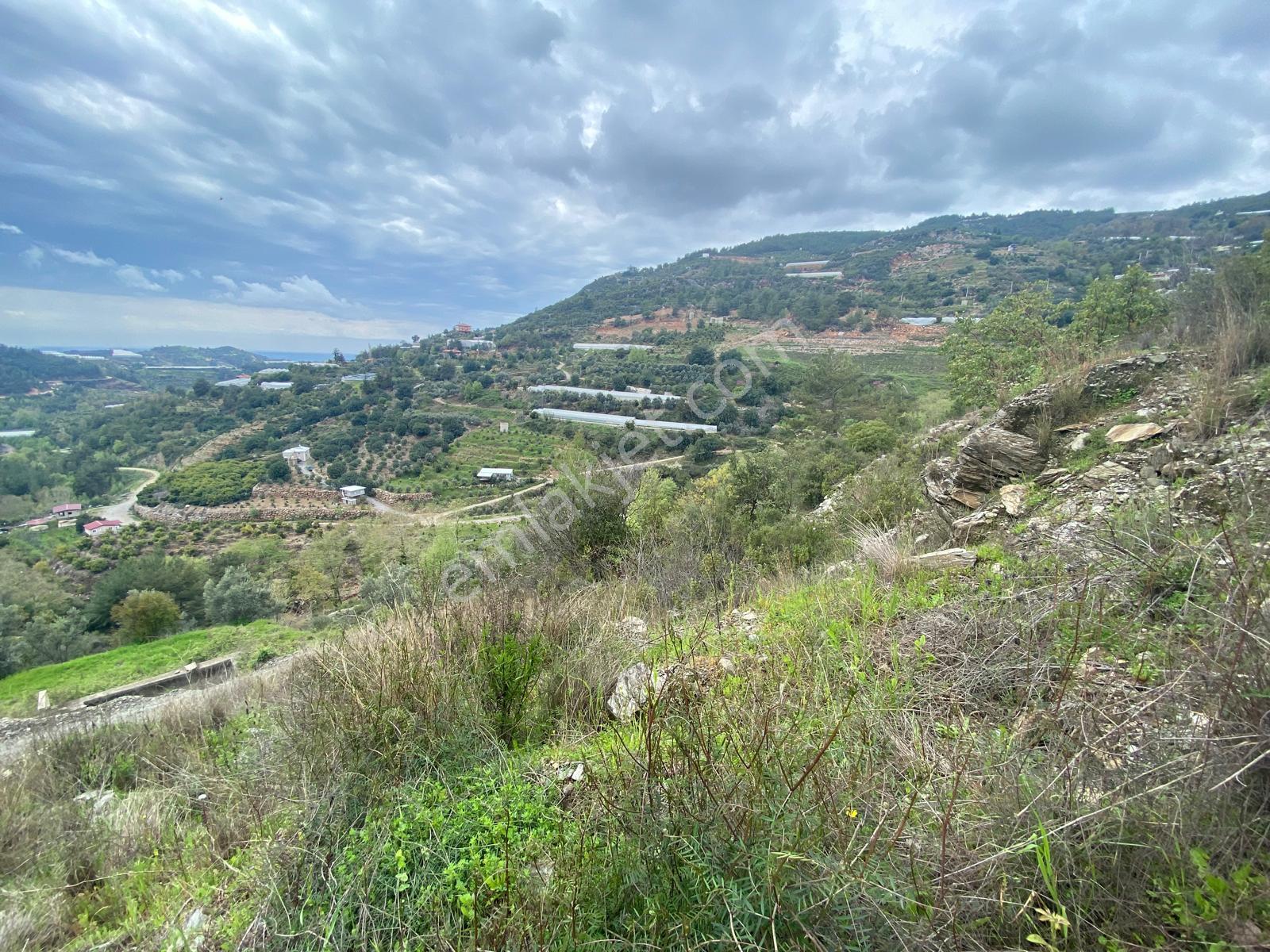 Alanya Hacı Kerimlerde 'de Satılık 3.000 M2 Tarla - Görsel 12