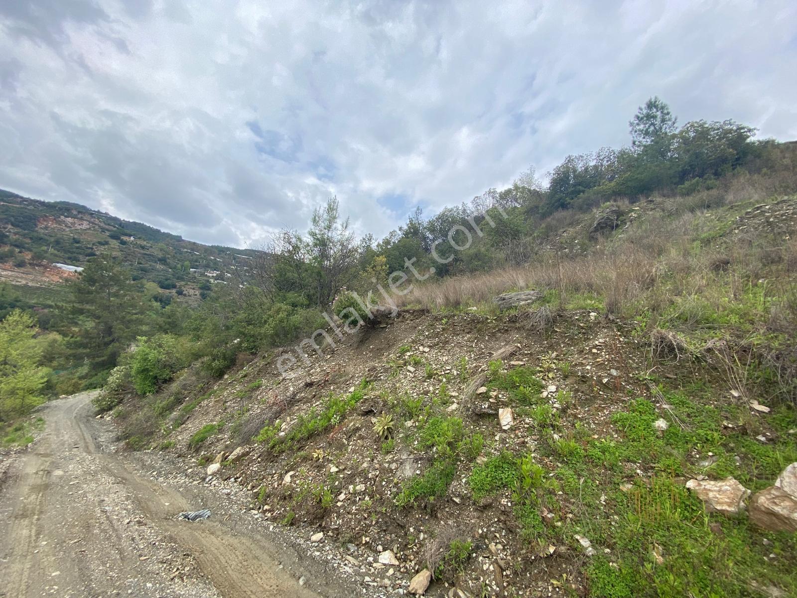 Alanya Hacı Kerimlerde 'de Satılık 3.000 M2 Tarla - Görsel 7