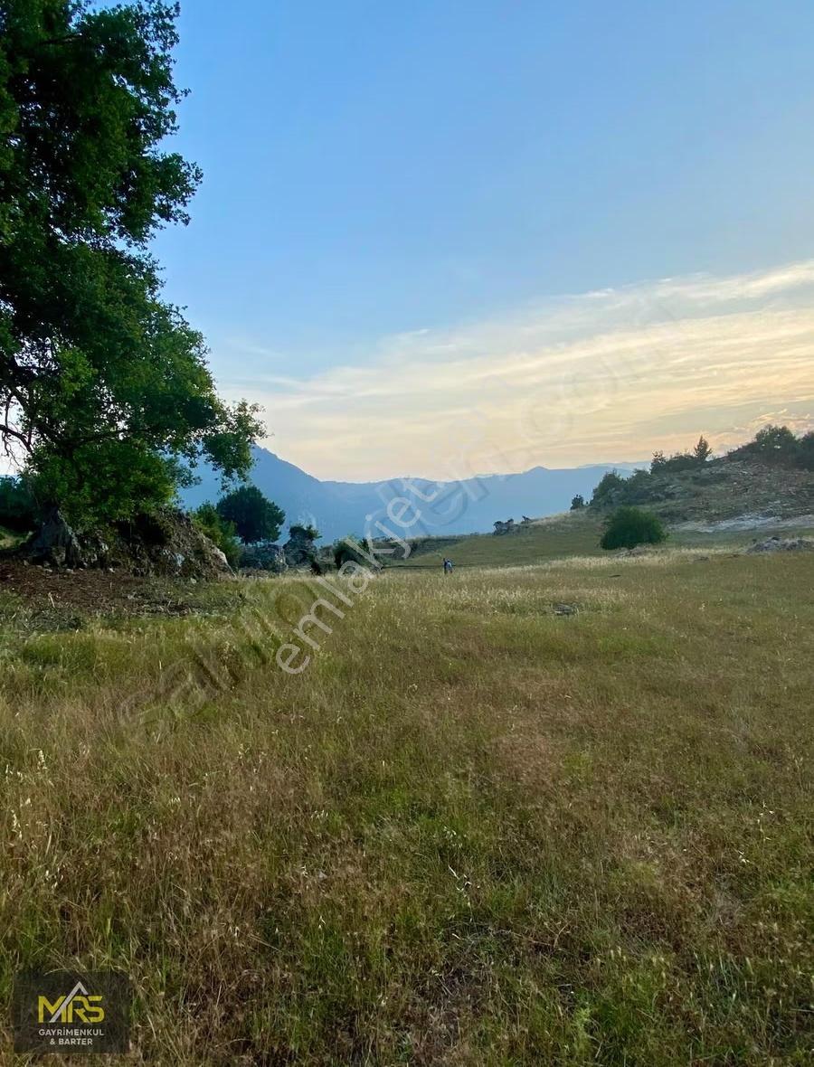 Mrs Gayrimenkulden Mersin Toroslar Aladağ'da 3858 M2 Tarla
