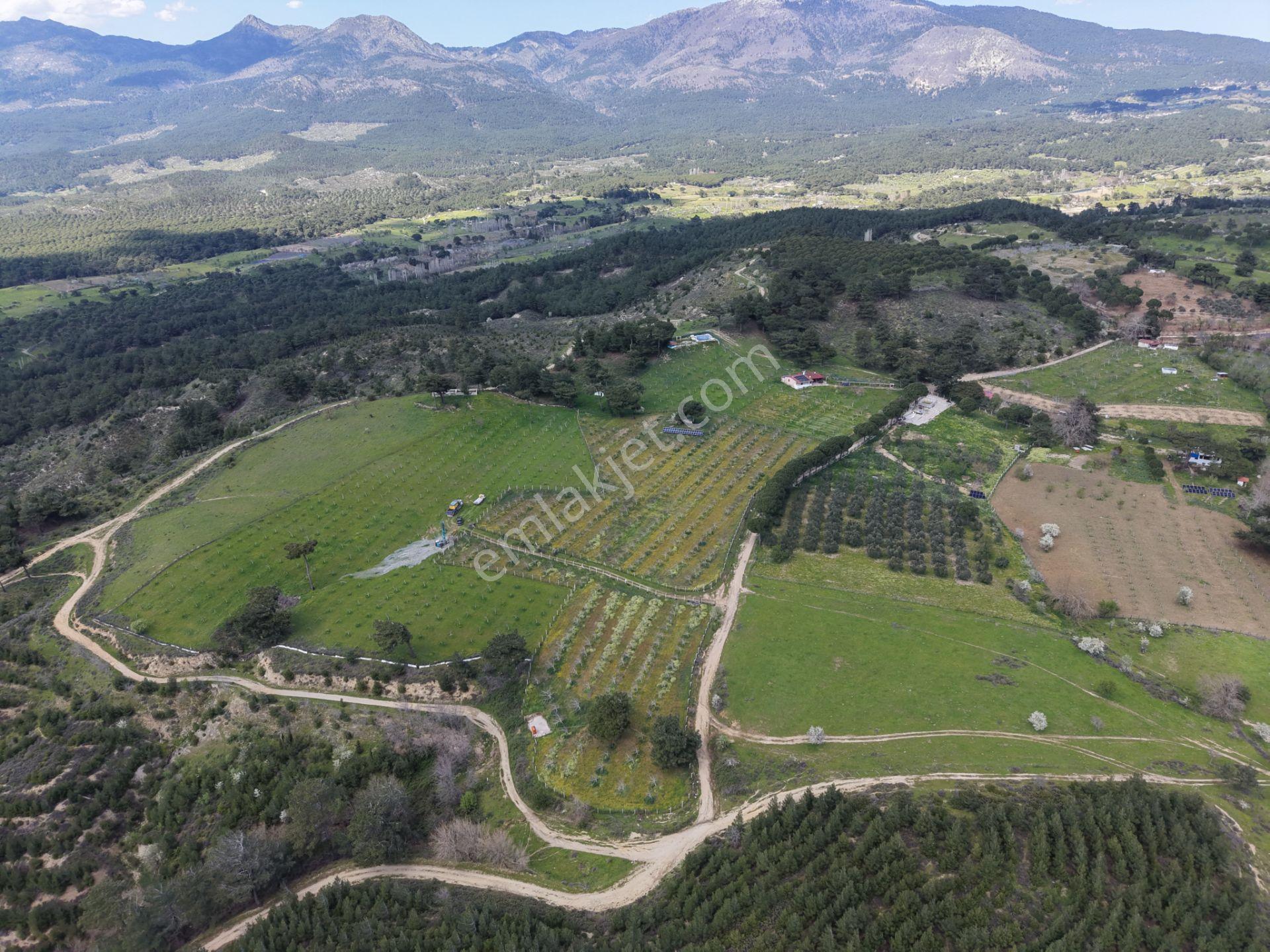 ▀▄mera Emlaktan Havran Kalabakta Doğayla İç İçe 16.378m2 Tarla - Görsel 10