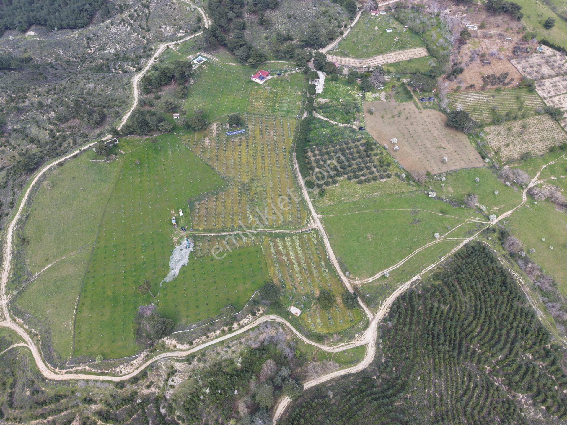 ▀▄mera Emlaktan Havran Kalabakta Doğayla İç İçe 16.378m2 Tarla - Görsel 35