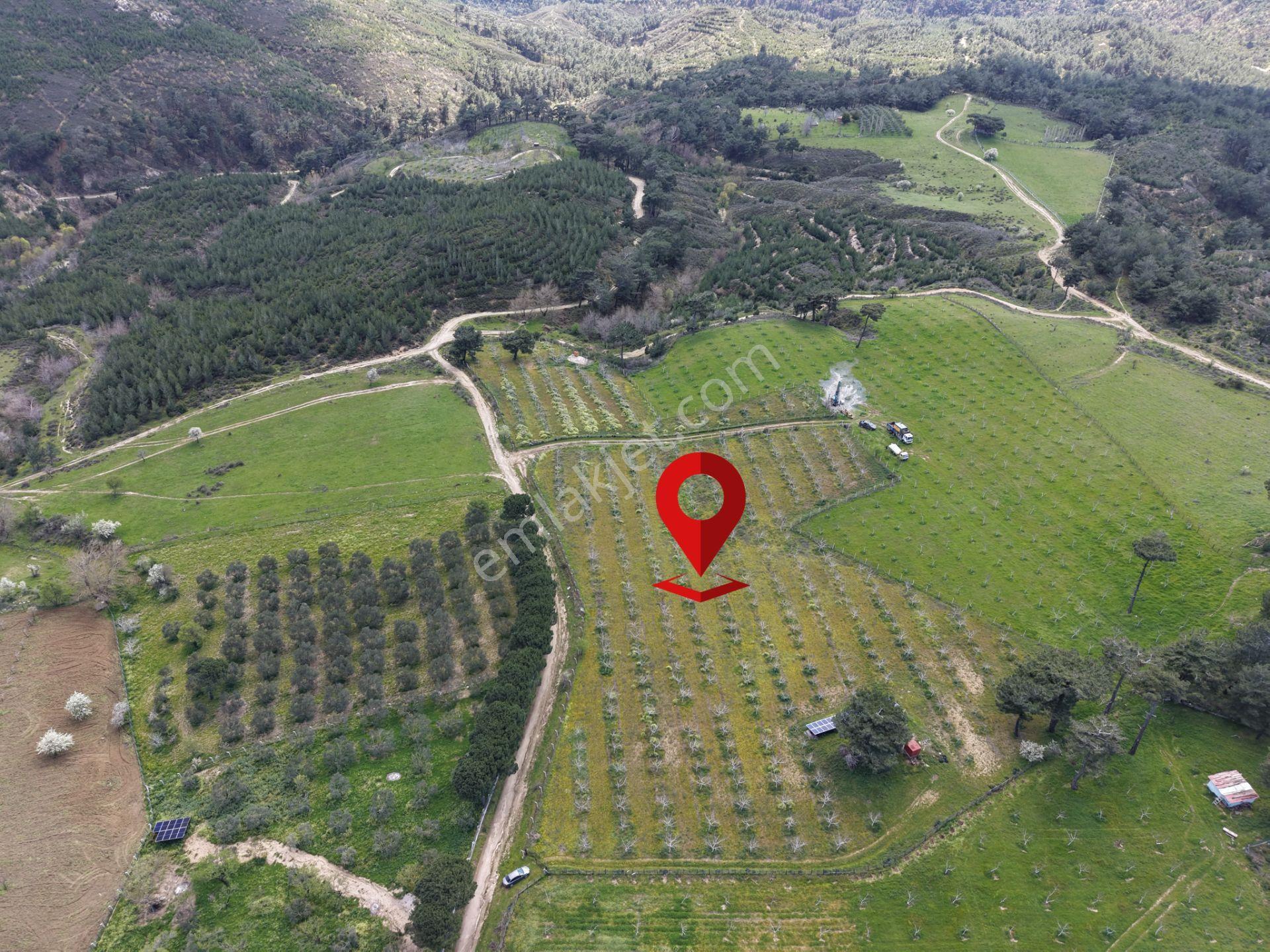 ▀▄mera Emlaktan Havran Kalabakta Doğayla İç İçe 16.378m2 Tarla