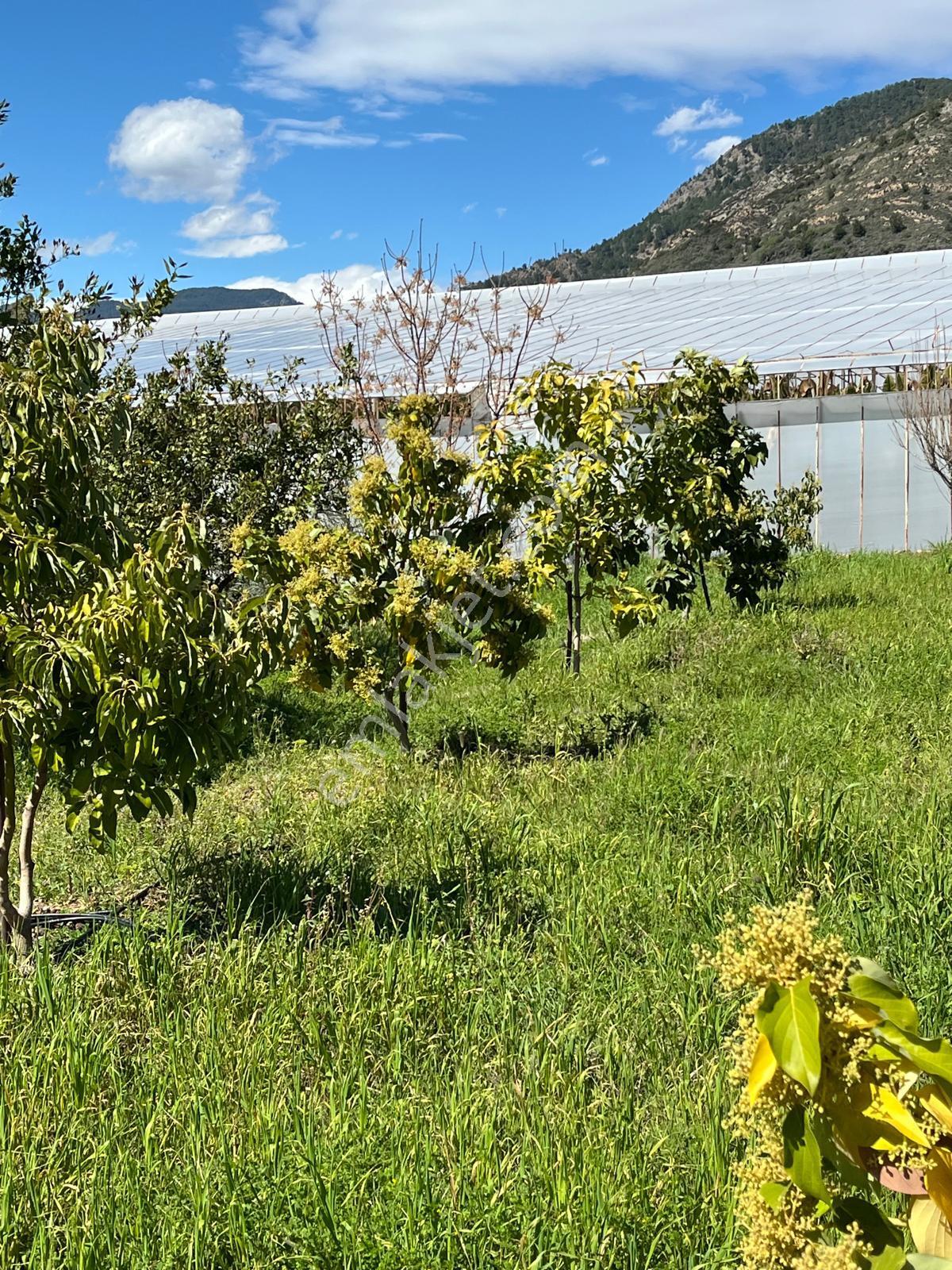Mersin Anamur Satılık Müstakil Arsa - Görsel 16