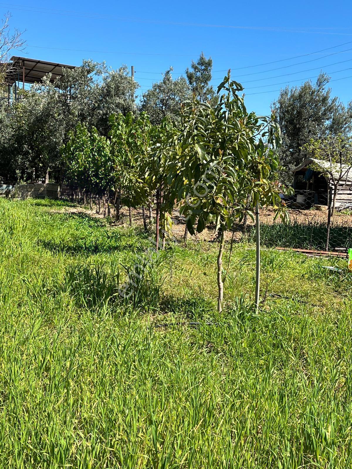 Mersin Anamur Satılık Müstakil Arsa - Görsel 17