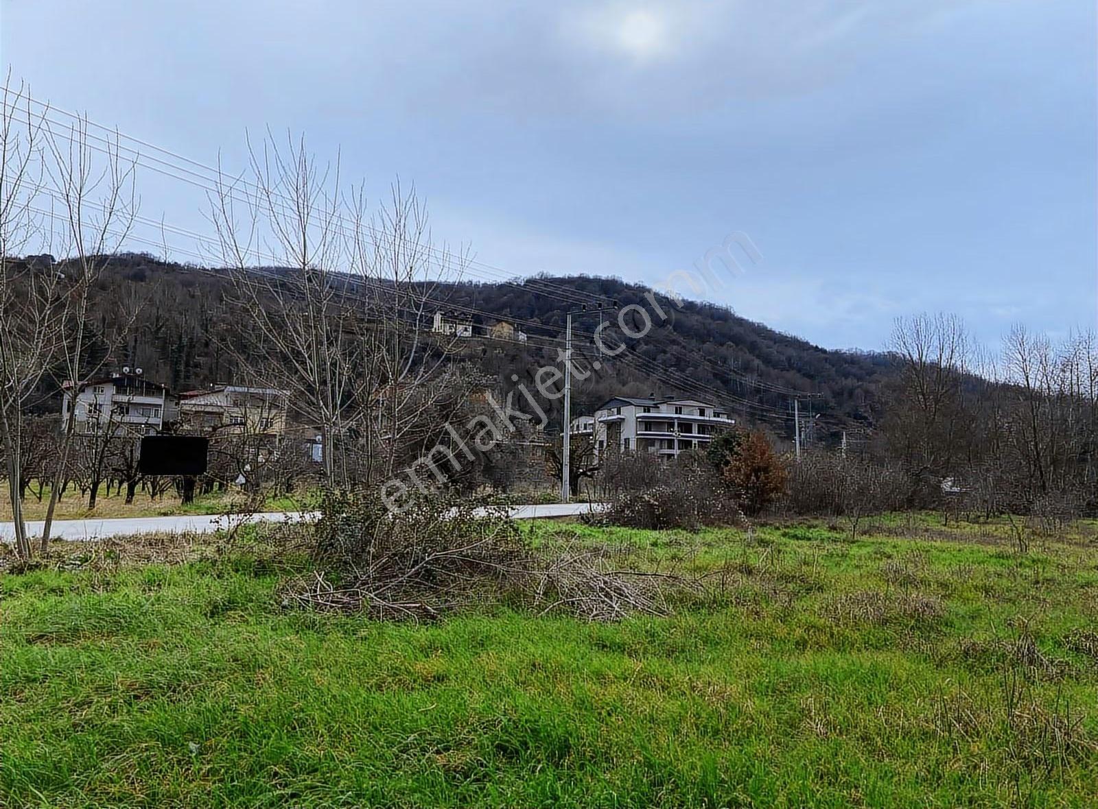 Geleceğin Vizyon Projesi.ister Doğa Okulu,ister Lojistik Üssü.