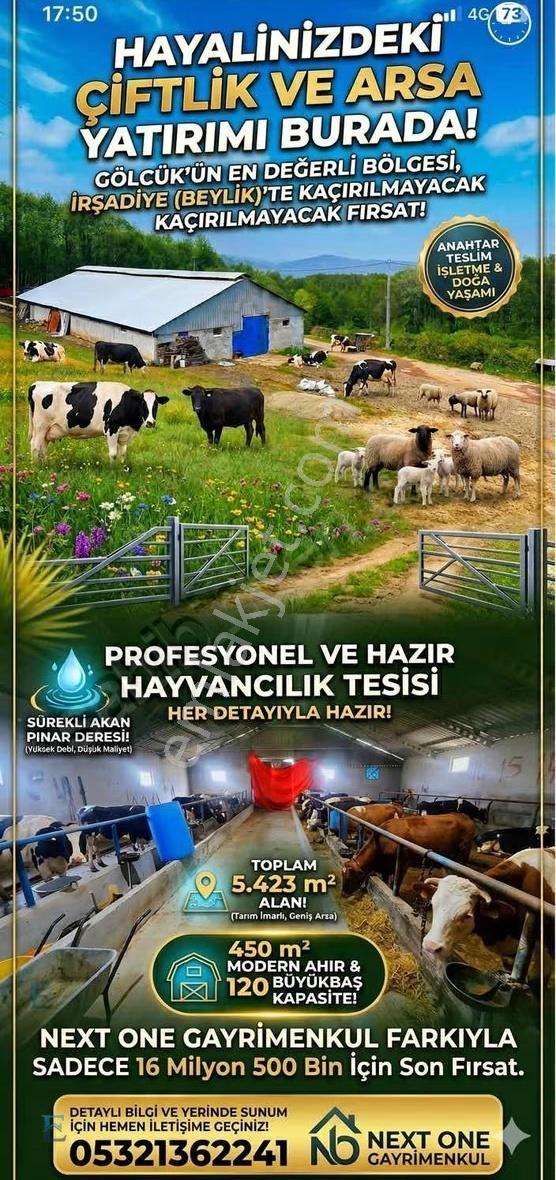 İrşadiyede Yatırımlık Çiftlik: 120 Başlık Ahır, Ev Ve Arsa