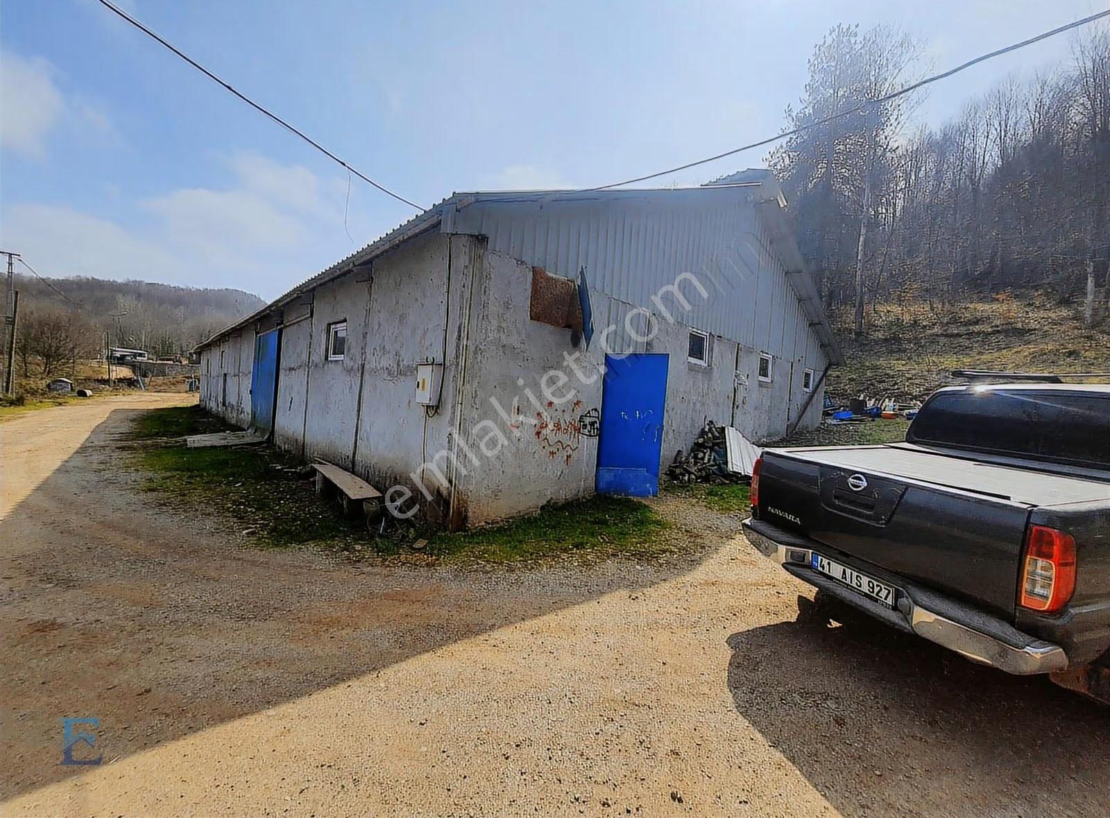 İrşadiyede Yatırımlık Çiftlik: 120 Başlık Ahır, Ev Ve Arsa - Görsel 10