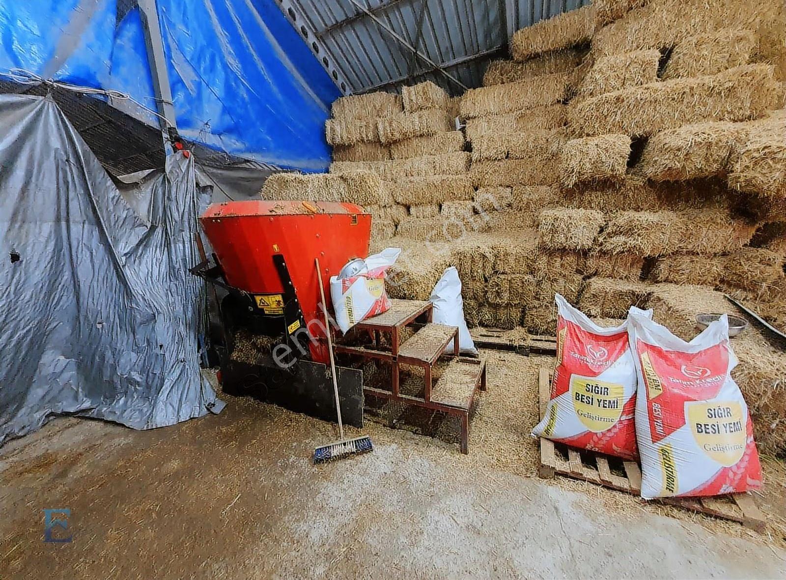 İrşadiyede Yatırımlık Çiftlik: 120 Başlık Ahır, Ev Ve Arsa - Görsel 25