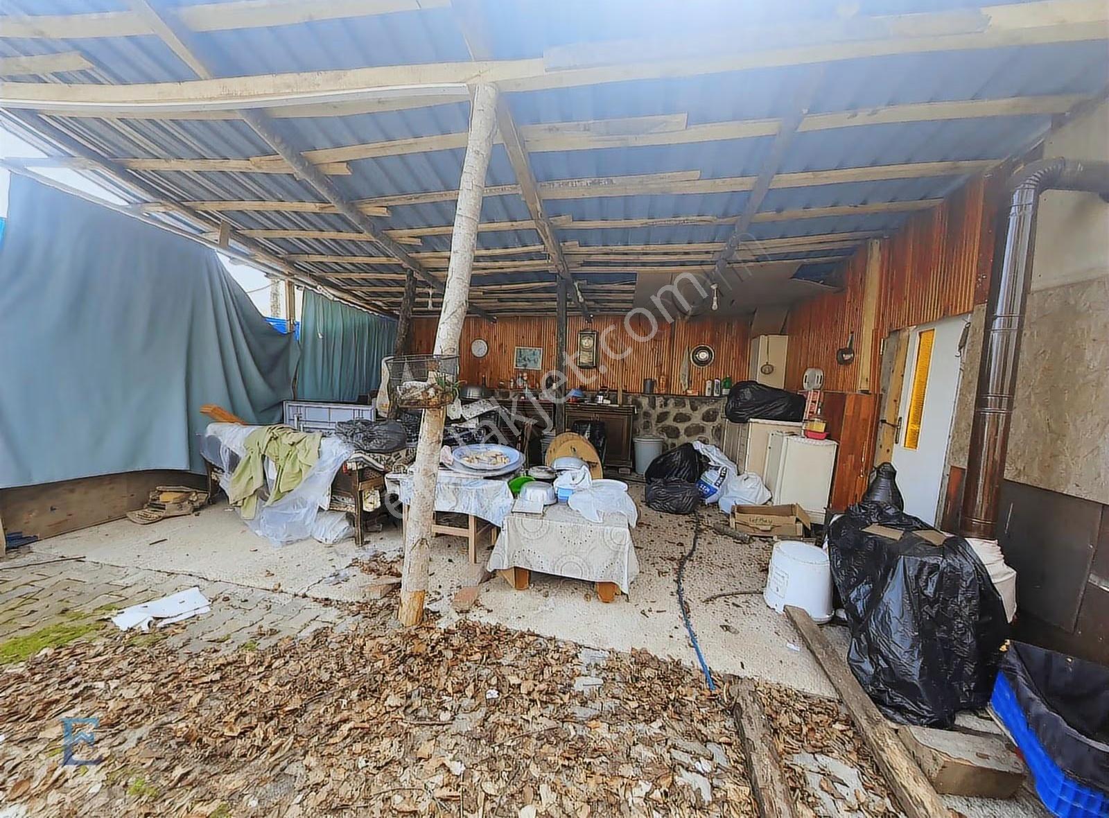 İrşadiyede Yatırımlık Çiftlik: 120 Başlık Ahır, Ev Ve Arsa - Görsel 28