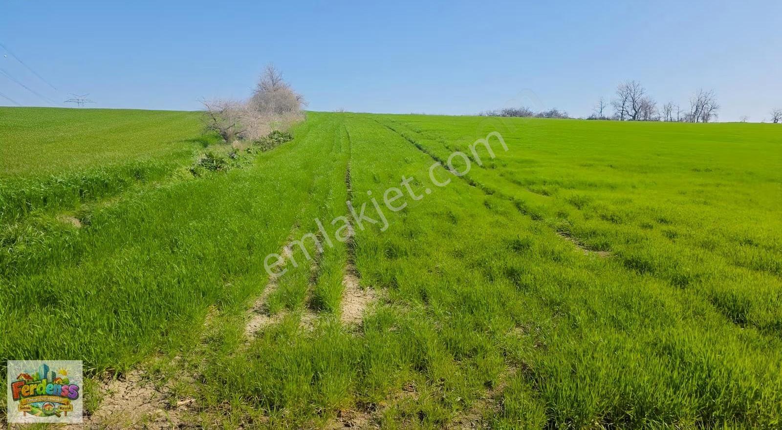 Çanakkale/gelibolu/bolayır Tek Tapu Tarla 22.720 M2 Satılıktır.