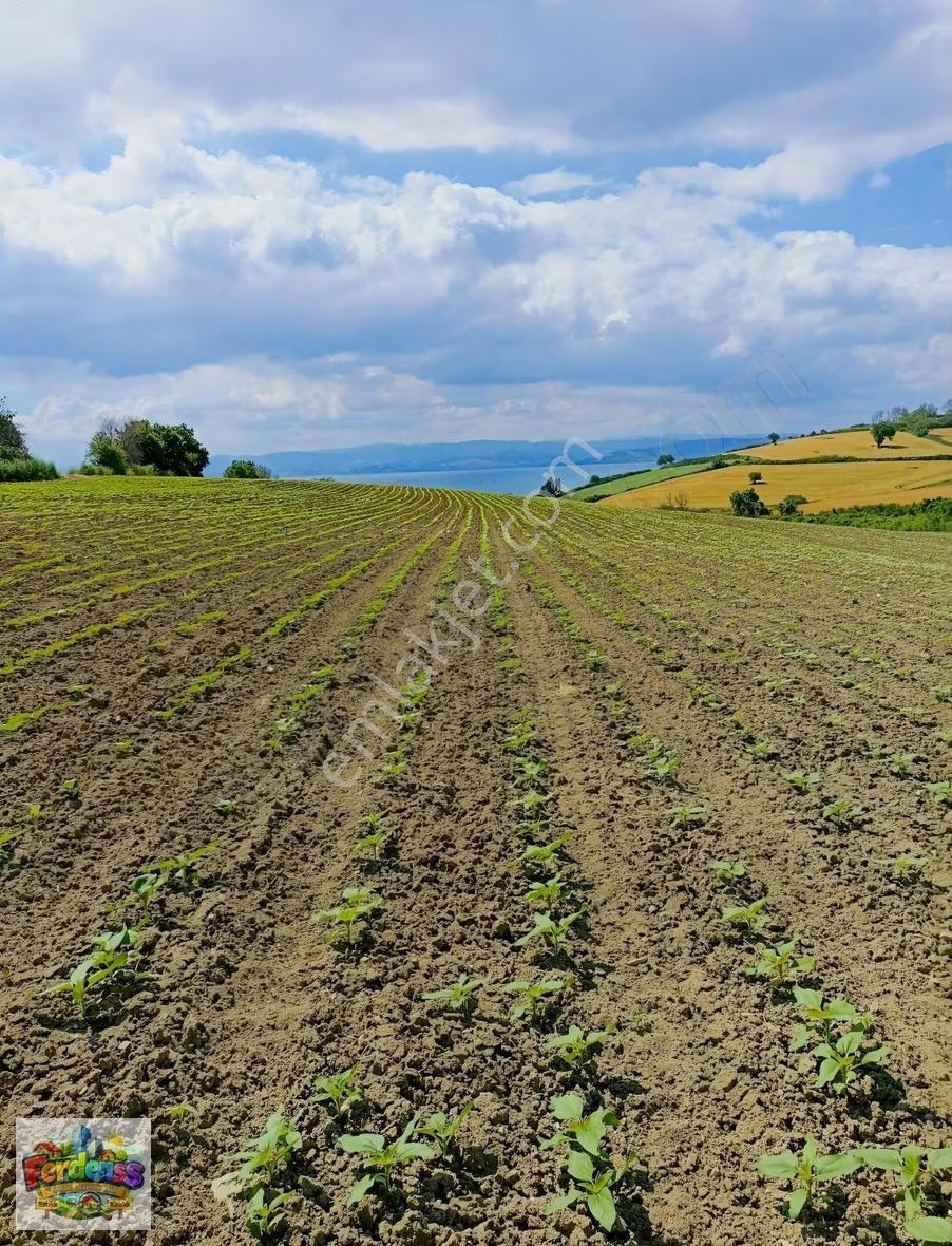 Çanakkale/gelibolu/bolayır Tek Tapu Tarla 22.720 M2 Satılıktır. - Görsel 19