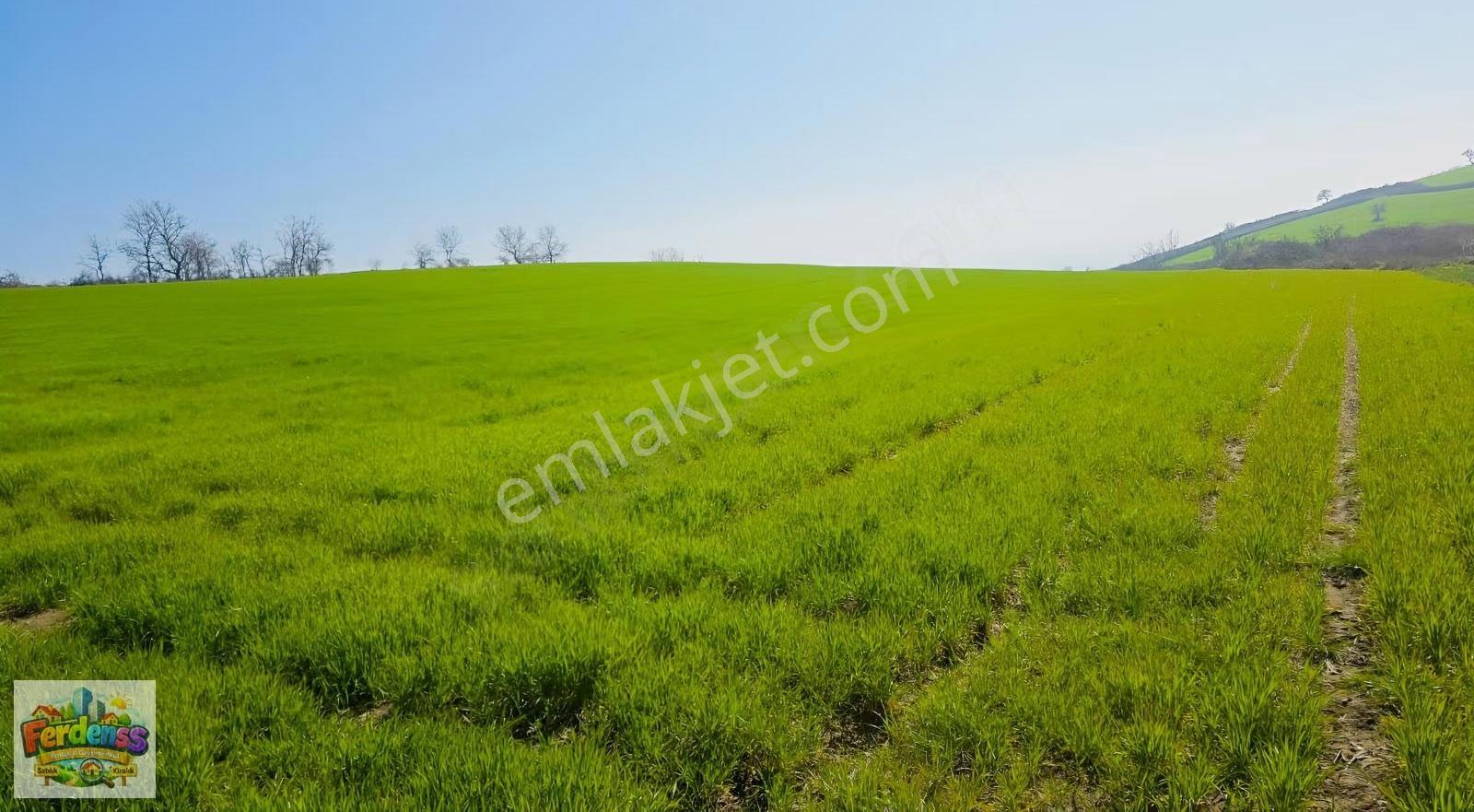 Çanakkale/gelibolu/bolayır Tek Tapu Tarla 22.720 M2 Satılıktır. - Görsel 12