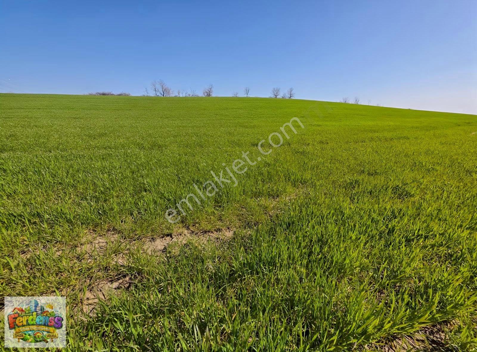 Çanakkale/gelibolu/bolayır Tek Tapu Tarla 22.720 M2 Satılıktır. - Görsel 22