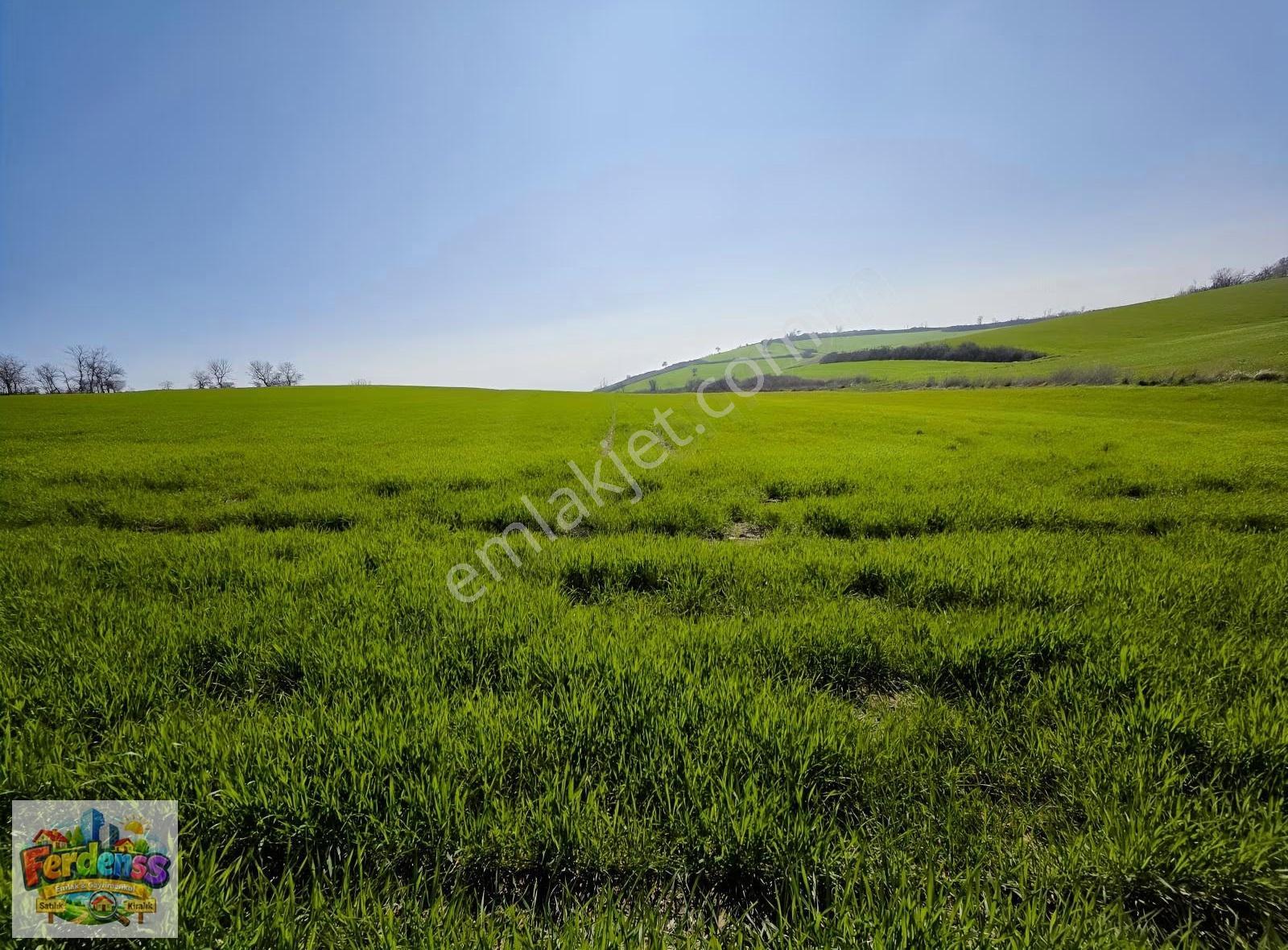 Çanakkale/gelibolu/bolayır Tek Tapu Tarla 22.720 M2 Satılıktır. - Görsel 16