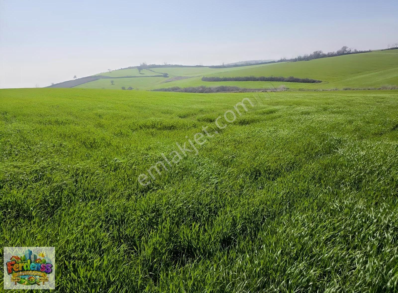 Çanakkale/gelibolu/bolayır Tek Tapu Tarla 22.720 M2 Satılıktır. - Görsel 11