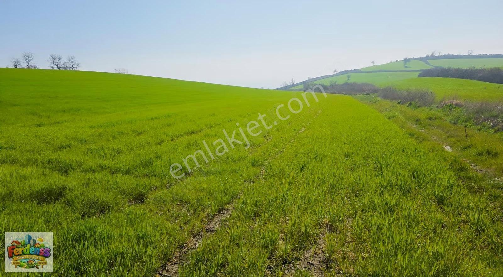 Çanakkale/gelibolu/bolayır Tek Tapu Tarla 22.720 M2 Satılıktır. - Görsel 9