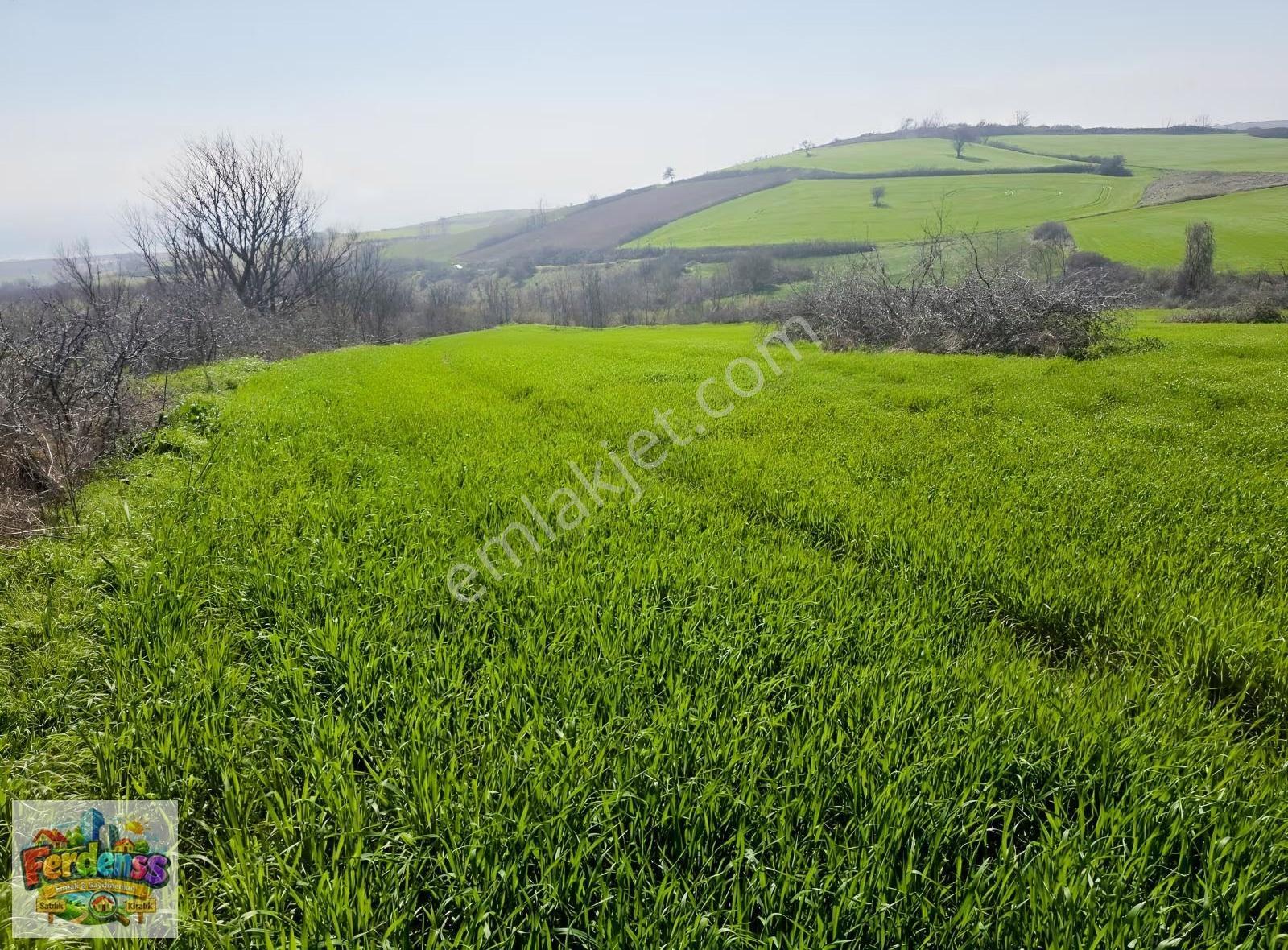 Çanakkale/gelibolu/bolayır Tek Tapu Tarla 22.720 M2 Satılıktır. - Görsel 3