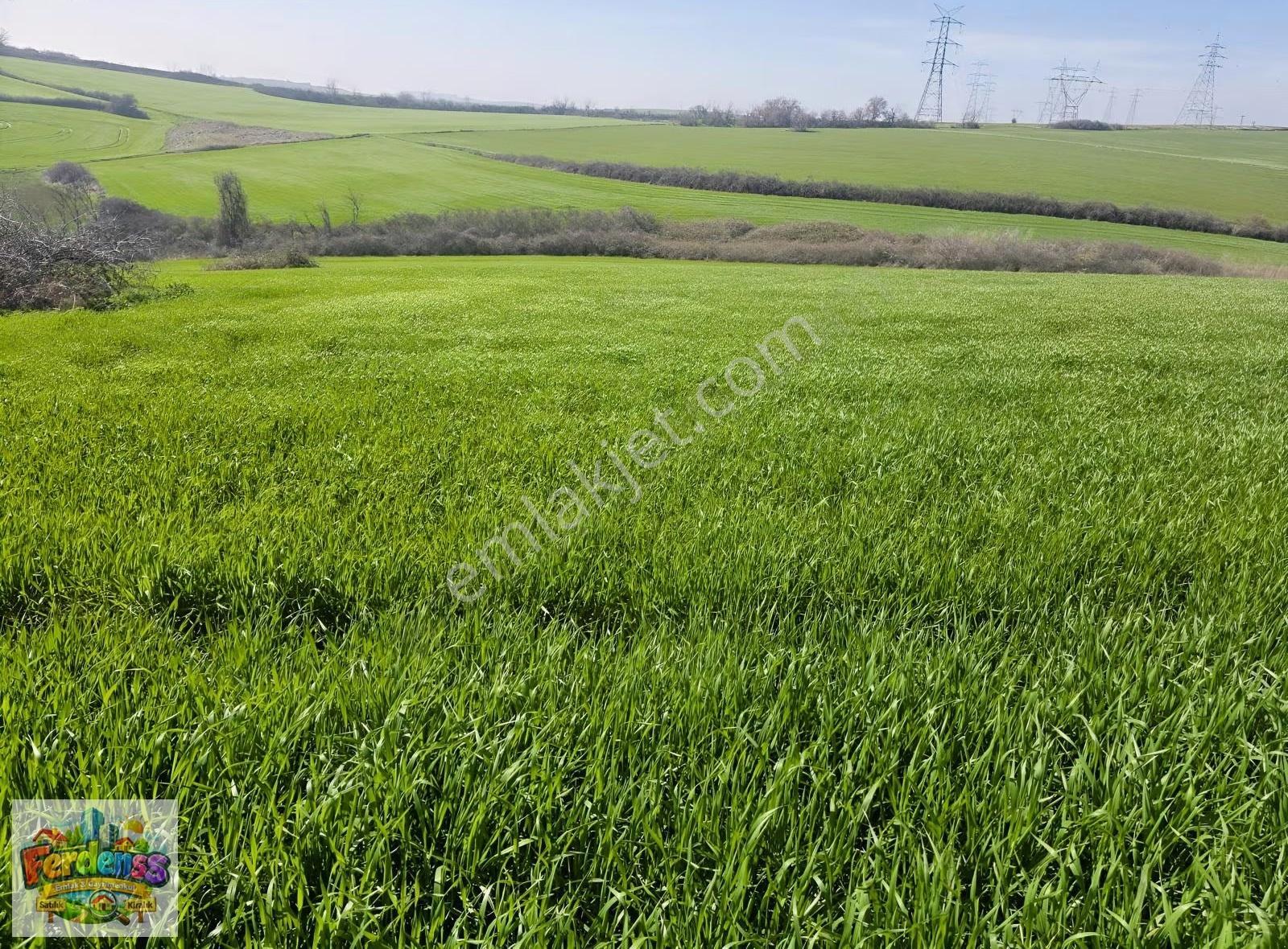 Çanakkale/gelibolu/bolayır Tek Tapu Tarla 22.720 M2 Satılıktır. - Görsel 20