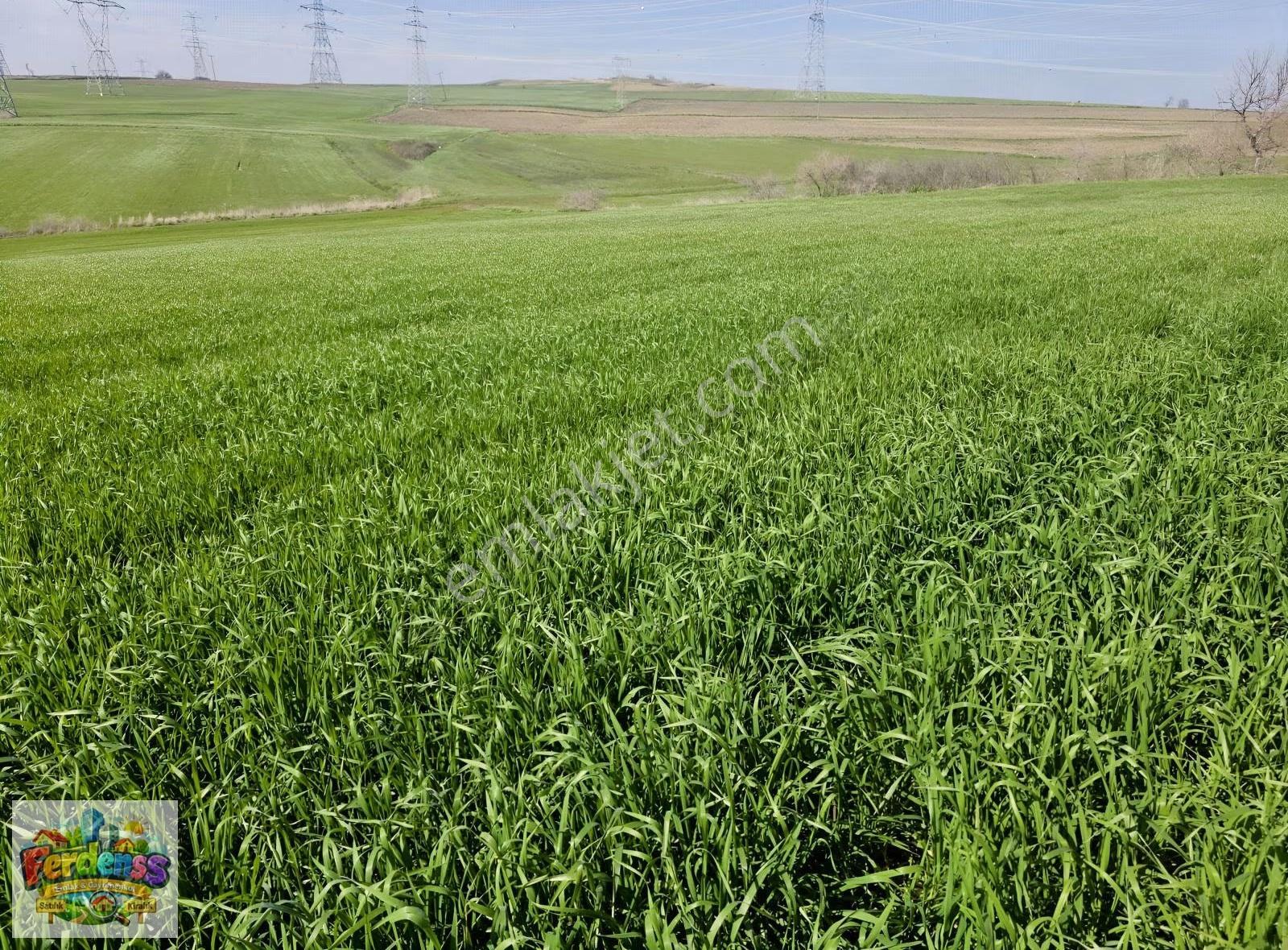 Çanakkale/gelibolu/bolayır Tek Tapu Tarla 22.720 M2 Satılıktır. - Görsel 14