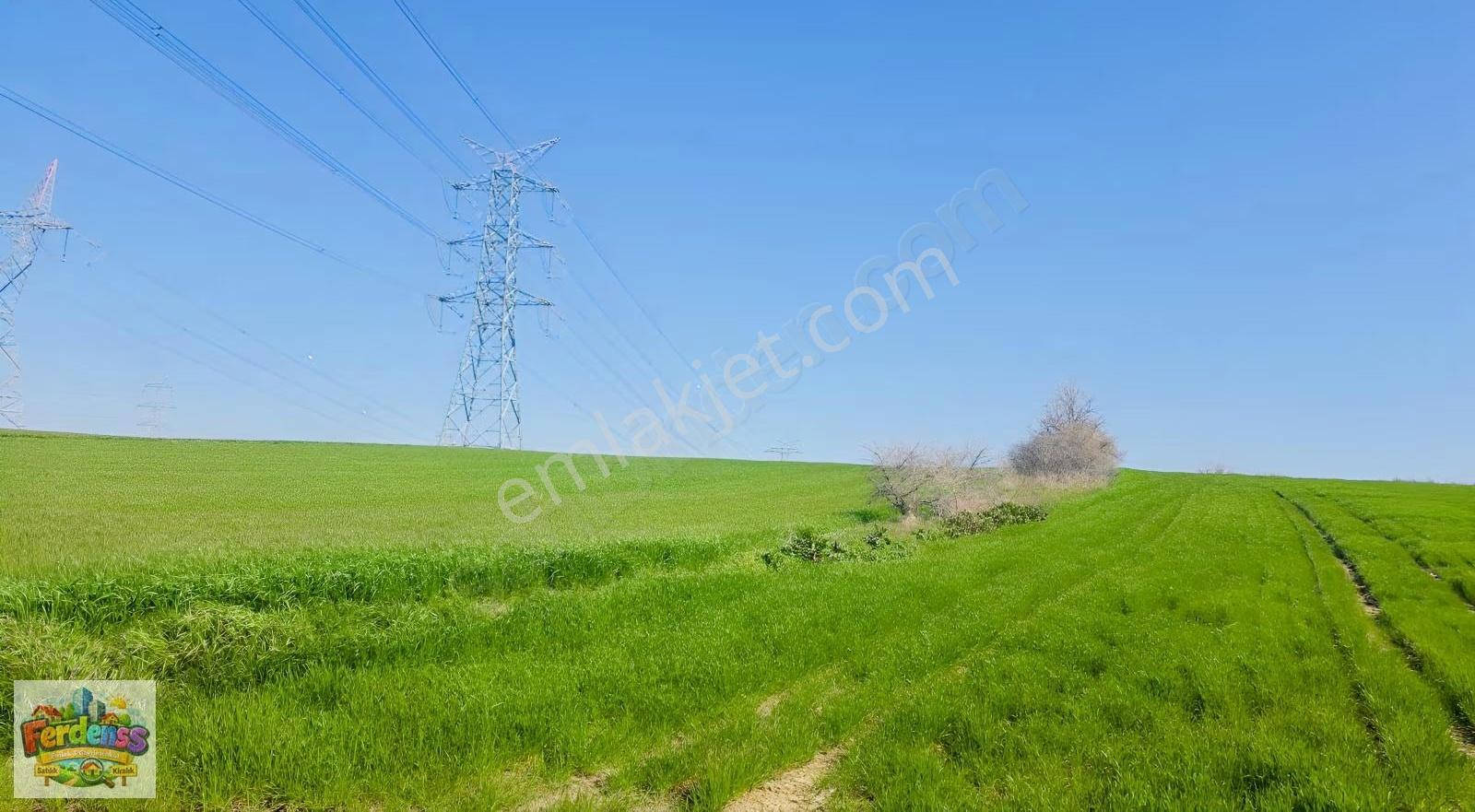 Çanakkale/gelibolu/bolayır Tek Tapu Tarla 22.720 M2 Satılıktır. - Görsel 18
