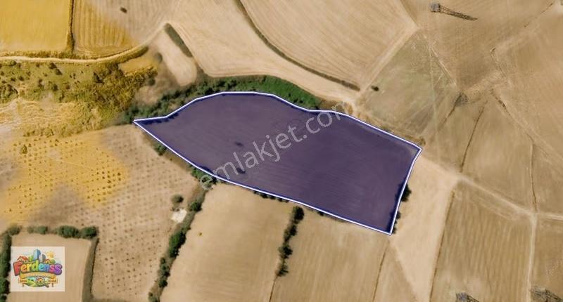Çanakkale/gelibolu/bolayır Tek Tapu Tarla 22.720 M2 Satılıktır. - Görsel 17