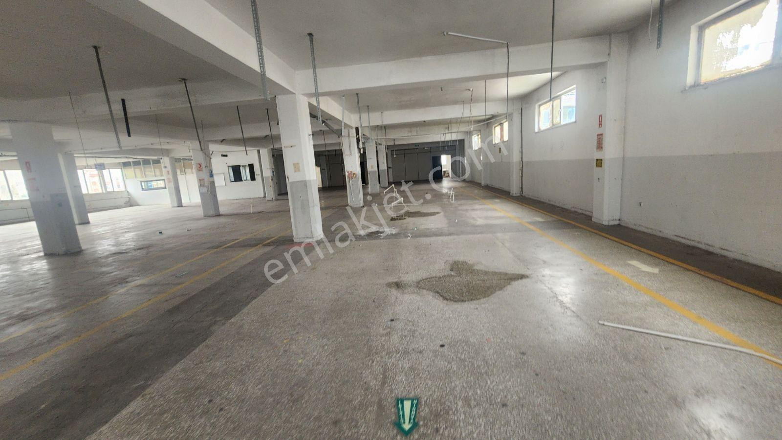 Enes Yeterden 1250 M2 İmalata Uygun İş Yeri - Görsel 24