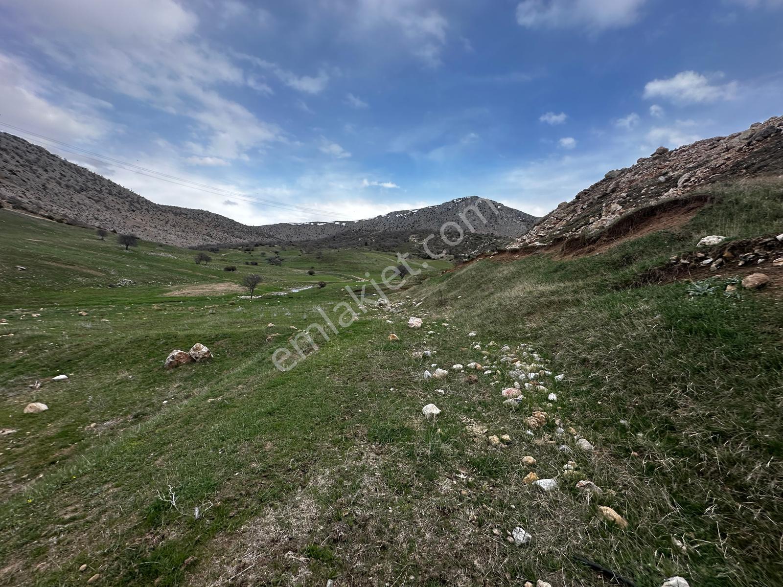 Erzincan İliç Ortatepe Köyünde Satılık Tarla - Görsel 6