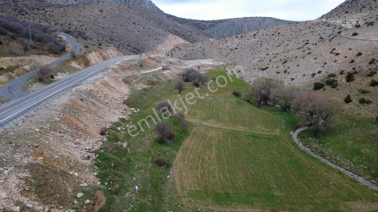 Erzincan İliç Ortatepe Köyünde Satılık Tarla - Görsel 5