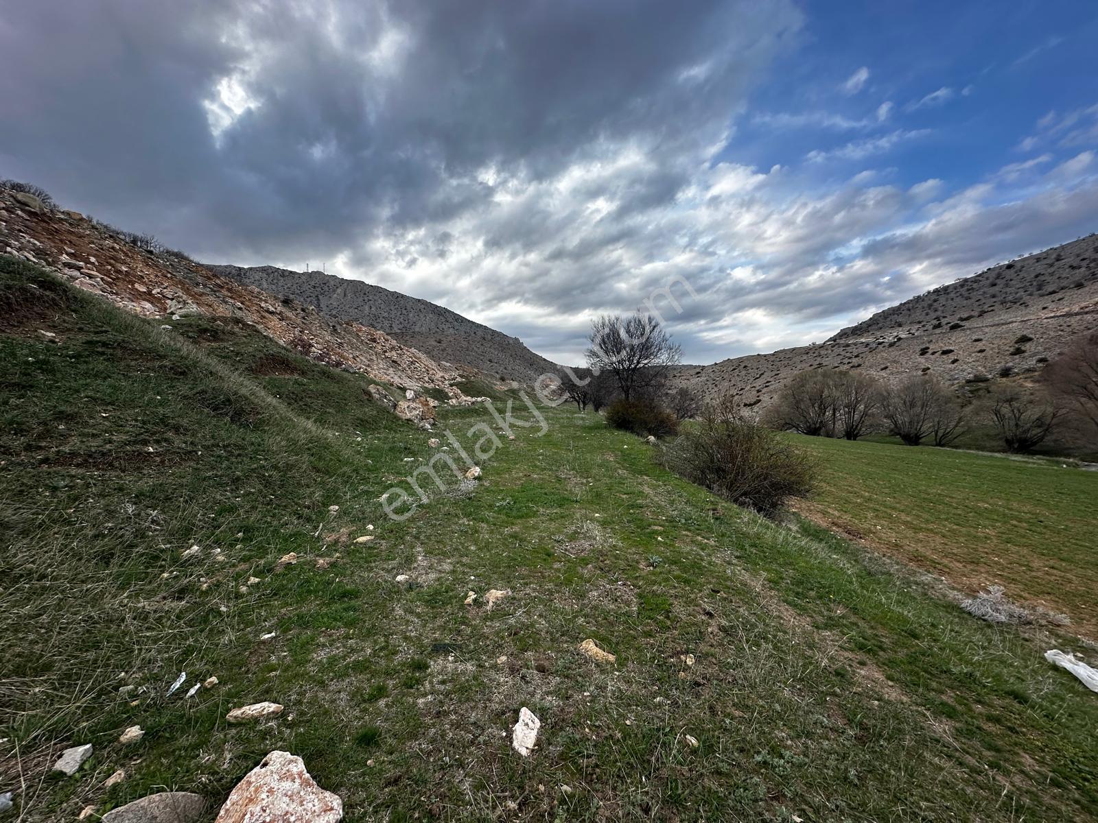 Erzincan İliç Ortatepe Köyünde Satılık Tarla - Görsel 12