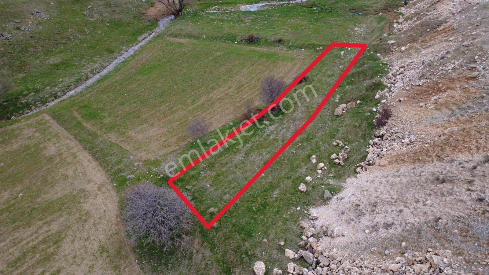 Erzincan İliç Ortatepe Köyünde Satılık Tarla - Görsel 8