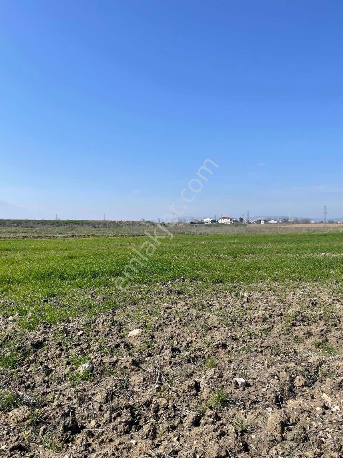 Nezir Gm'den Kulaca Mah. 3228 M2 Satılık Tarla " - Görsel 15