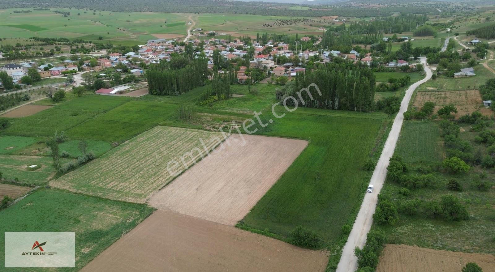 Güneysınır Aydoğmuşda Asfalt Yola Cepheli 961 M² Müstakil Tarla - Görsel 6