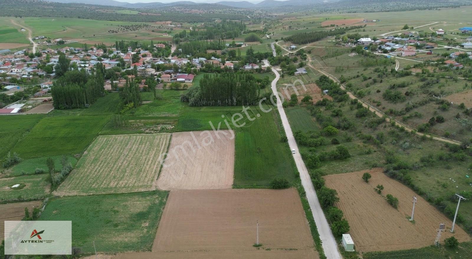 Güneysınır Aydoğmuşda Asfalt Yola Cepheli 961 M² Müstakil Tarla - Görsel 4