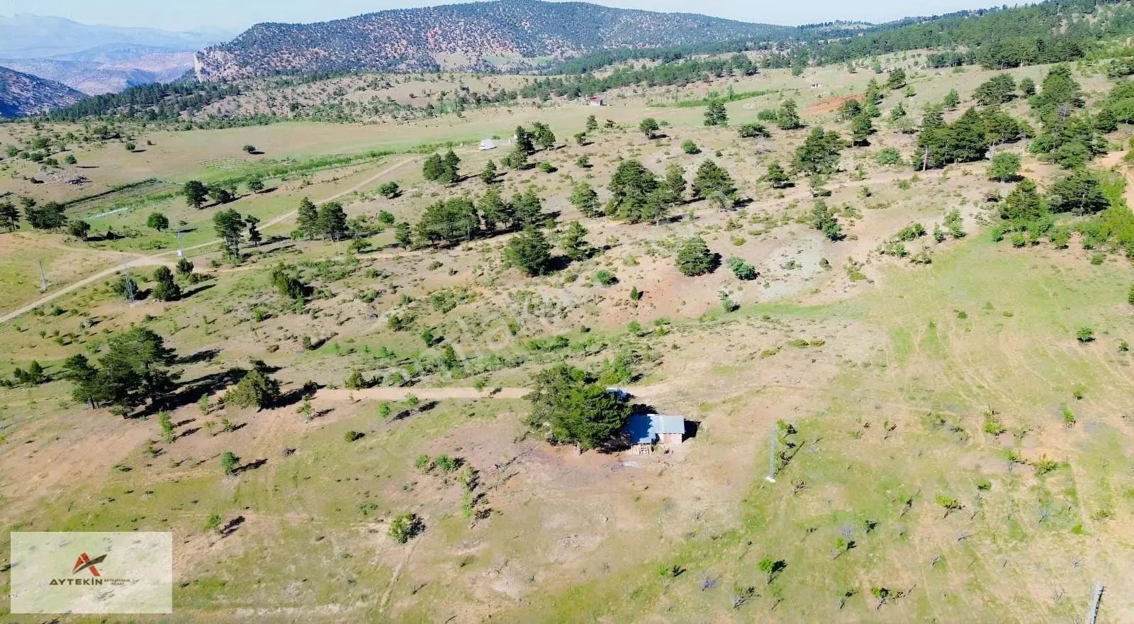 Hadim Göynükkışla'da Ormana Cephe 1.781 M² Müstakil Tarla