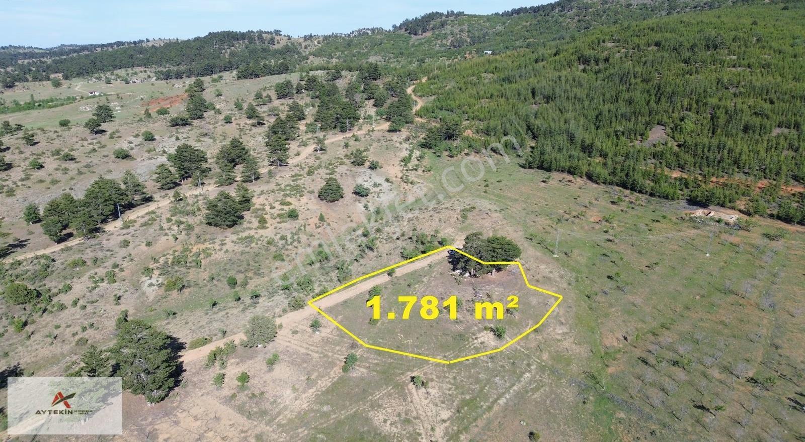 Hadim Göynükkışla'da Ormana Cephe 1.781 M² Müstakil Tarla - Görsel 7