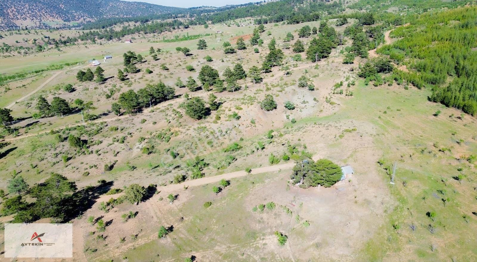 Hadim Göynükkışla'da Ormana Cephe 1.781 M² Müstakil Tarla - Görsel 6