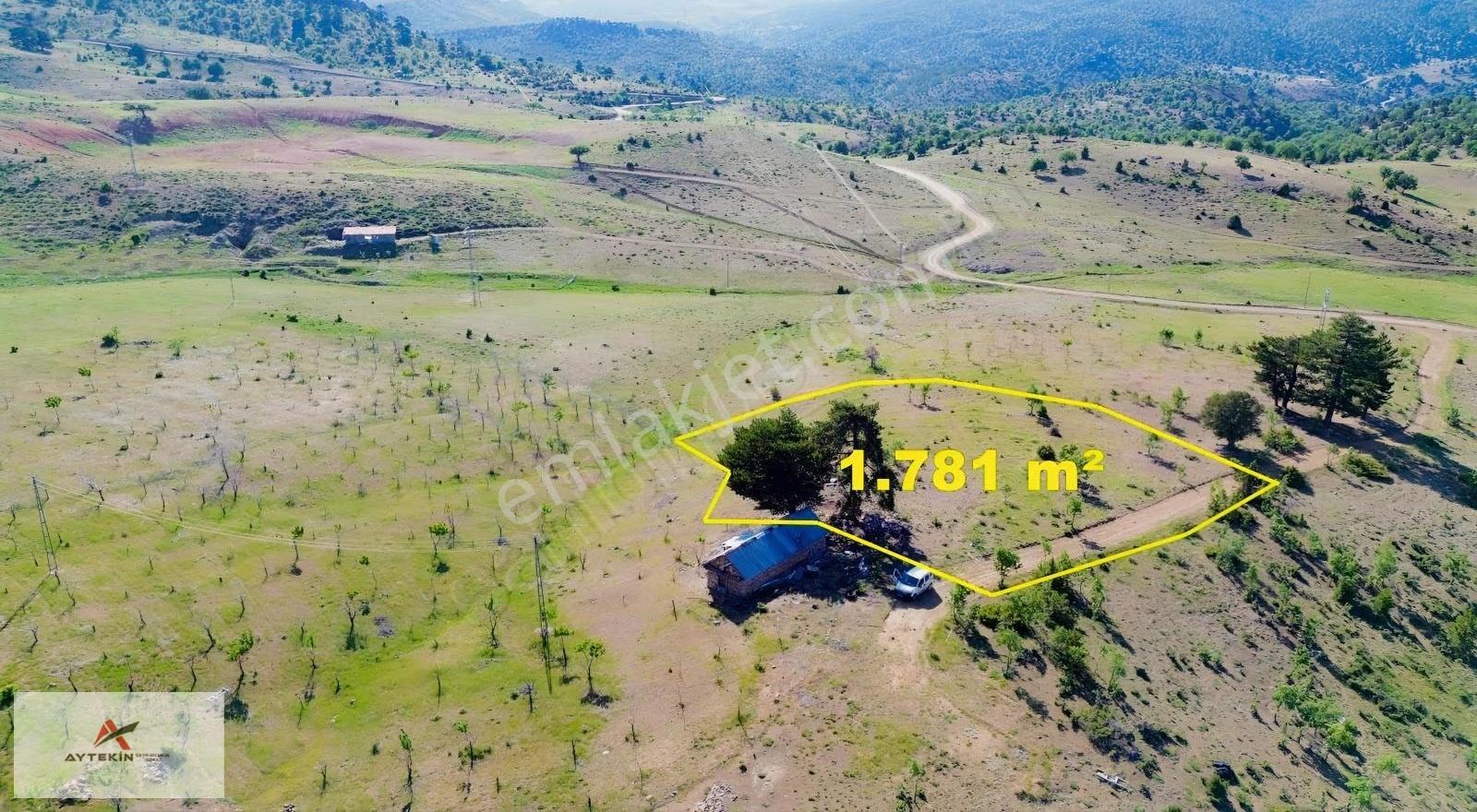 Hadim Göynükkışla'da Ormana Cephe 1.781 M² Müstakil Tarla - Görsel 2