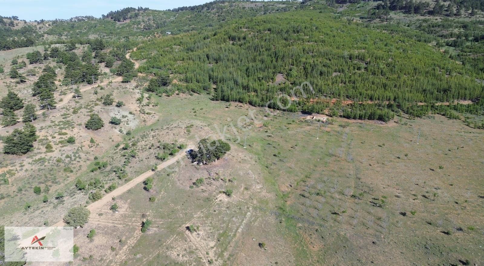 Hadim Göynükkışla'da Ormana Cephe 1.781 M² Müstakil Tarla - Görsel 5