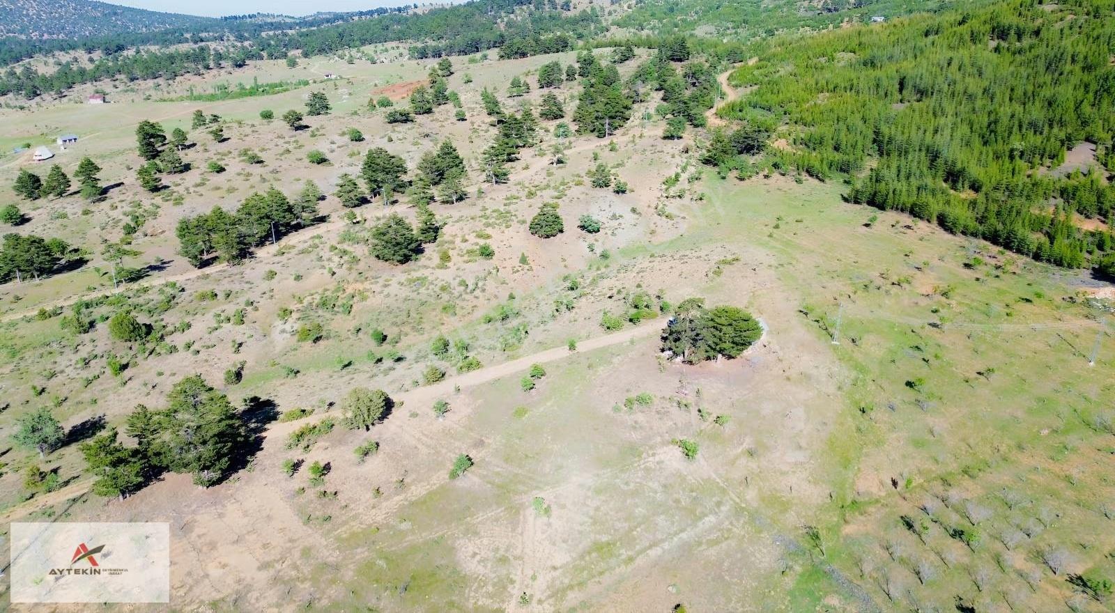 Hadim Göynükkışla'da Ormana Cephe 1.781 M² Müstakil Tarla - Görsel 4